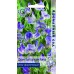 Душистый горошек Ажур Бело-фиолетовый (ЦВ) (Ароматный сад"1) 1гр